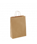 Small Paper Bags With Twist Handles 220mm(H) x 320mm(W) x 165mm (Bottom Gusset) - 250 Pack/carton